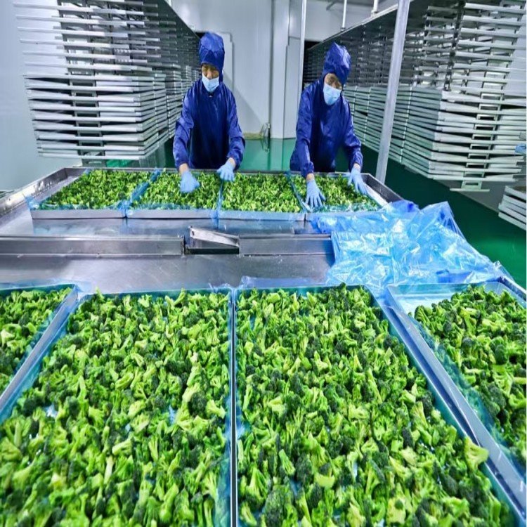 crispy-broccoli-snack